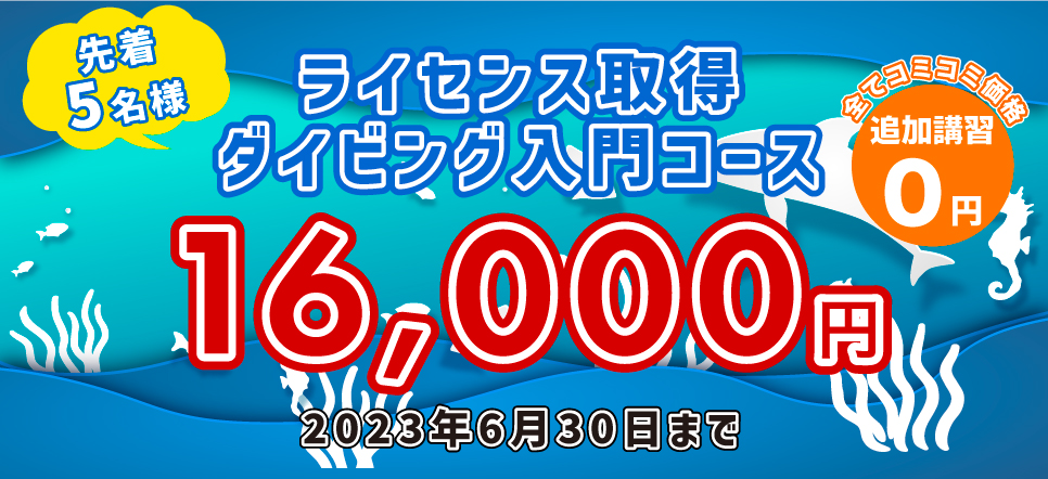 ライセンス取得キャンペーン