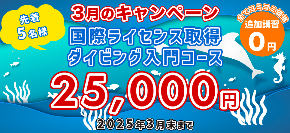 ライセンス取得キャンペーン