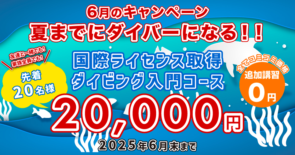 ライセンス取得キャンペーン