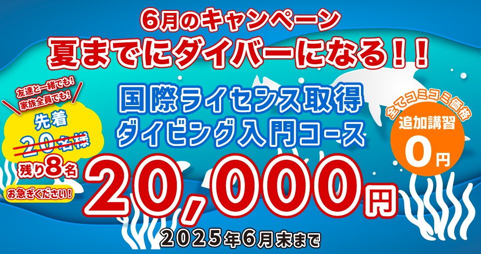 ライセンス取得キャンペーン