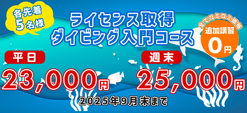 ライセンス取得キャンペーン